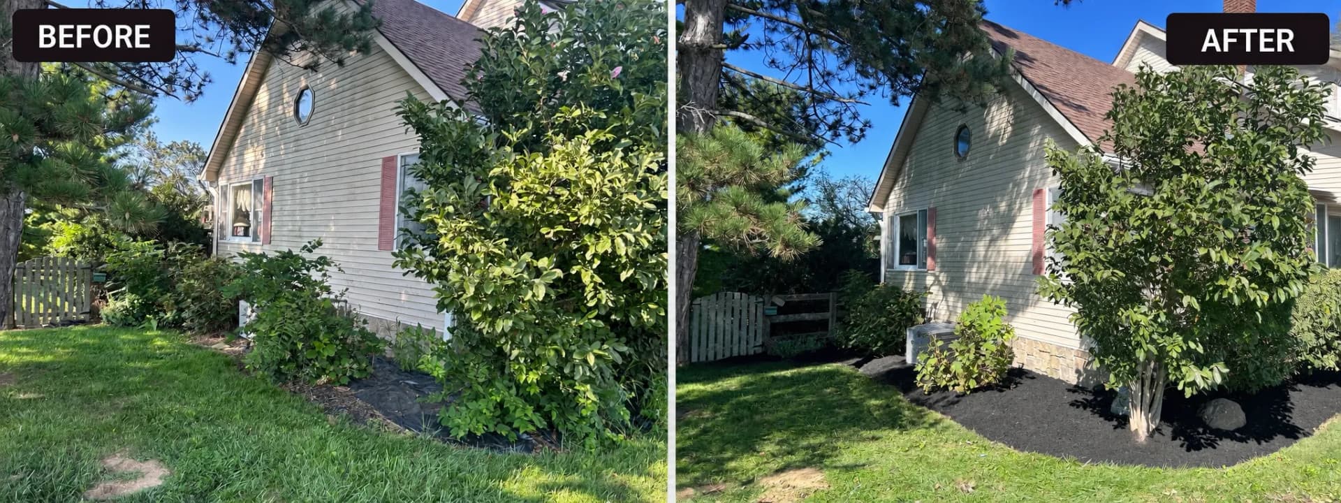 Landscape Bed Makeover That Actually Changes the Whole Front of a Home