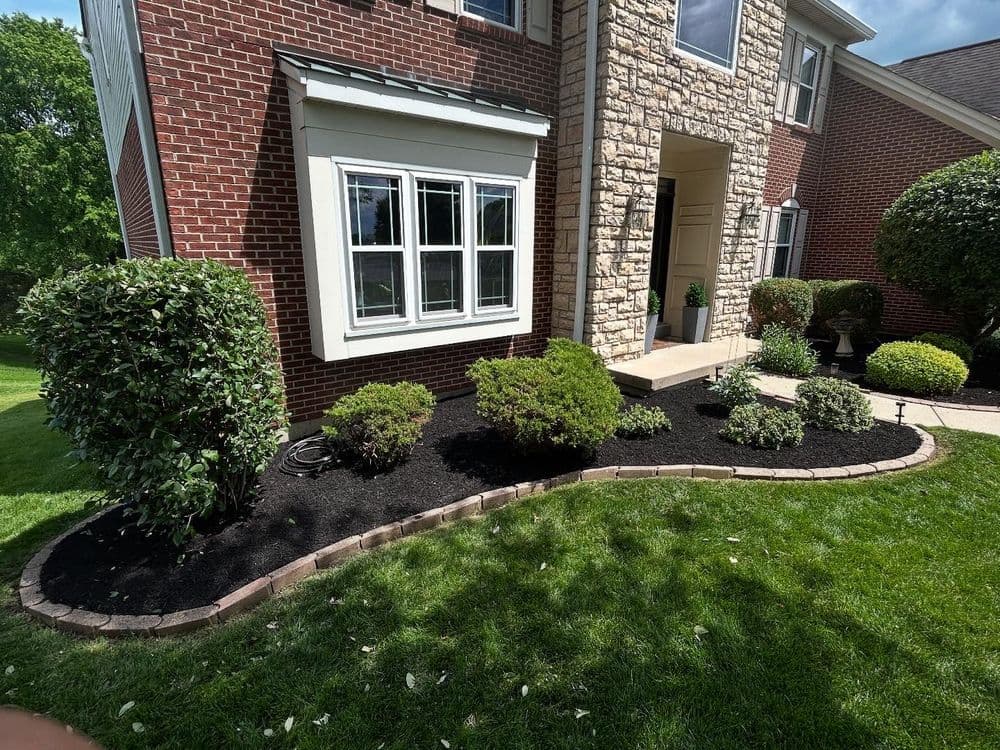 Well-maintained landscaping with shrubs and dark mulch in front of a brick house.