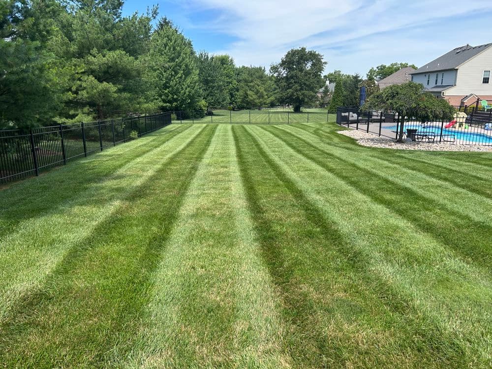 Lush green striped lawn leading to a backyard pool area with a black fence.