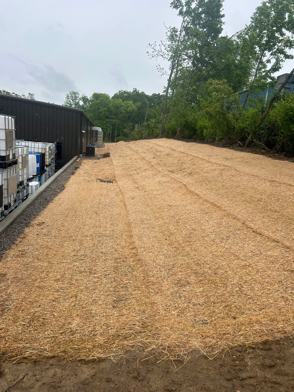 Straw-covered area beside storage containers and trees in a rural setting.