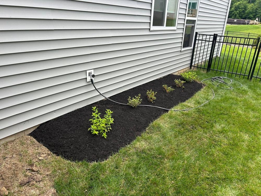 Mulched garden bed with newly planted shrubs alongside a house exterior.