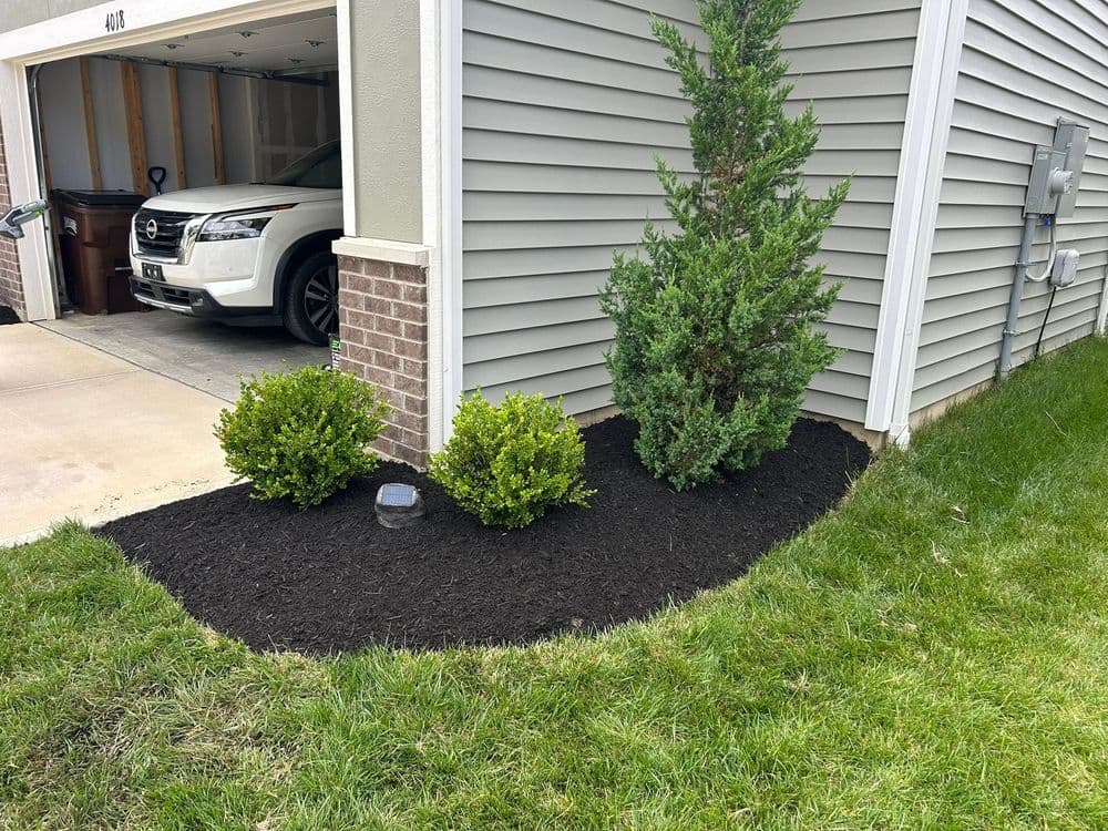 Mulched landscape featuring shrubs and grass near a garage with a vehicle.
